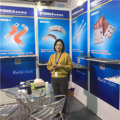 金橋銅業(yè)在工博會(huì) 金橋銅業(yè)在工博會(huì)