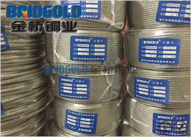 鍍錫軟銅絞線廠家 鍍錫軟銅絞線廠家