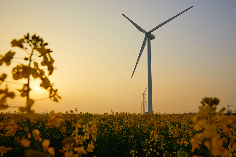 風(fēng)力發(fā)電機 風(fēng)力發(fā)電機