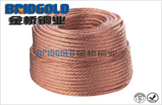 接地軟銅線型號(hào) 接地軟銅線型號(hào)