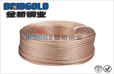 接地銅絞線25mm2 接地銅絞線25mm2