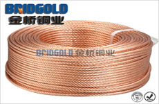 避雷銅絞線(xiàn) 避雷銅絞線(xiàn)